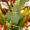 3ft. Pre-Lit Pine Needle & Eucalyptus Leaf Artificial Urn Christmas Porch Tree, Warm White LED Lights